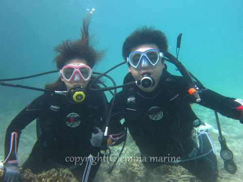 ビーチ体験ダイビング