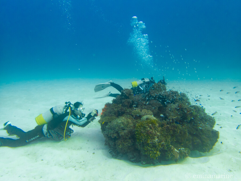 じっくり撮影タイム