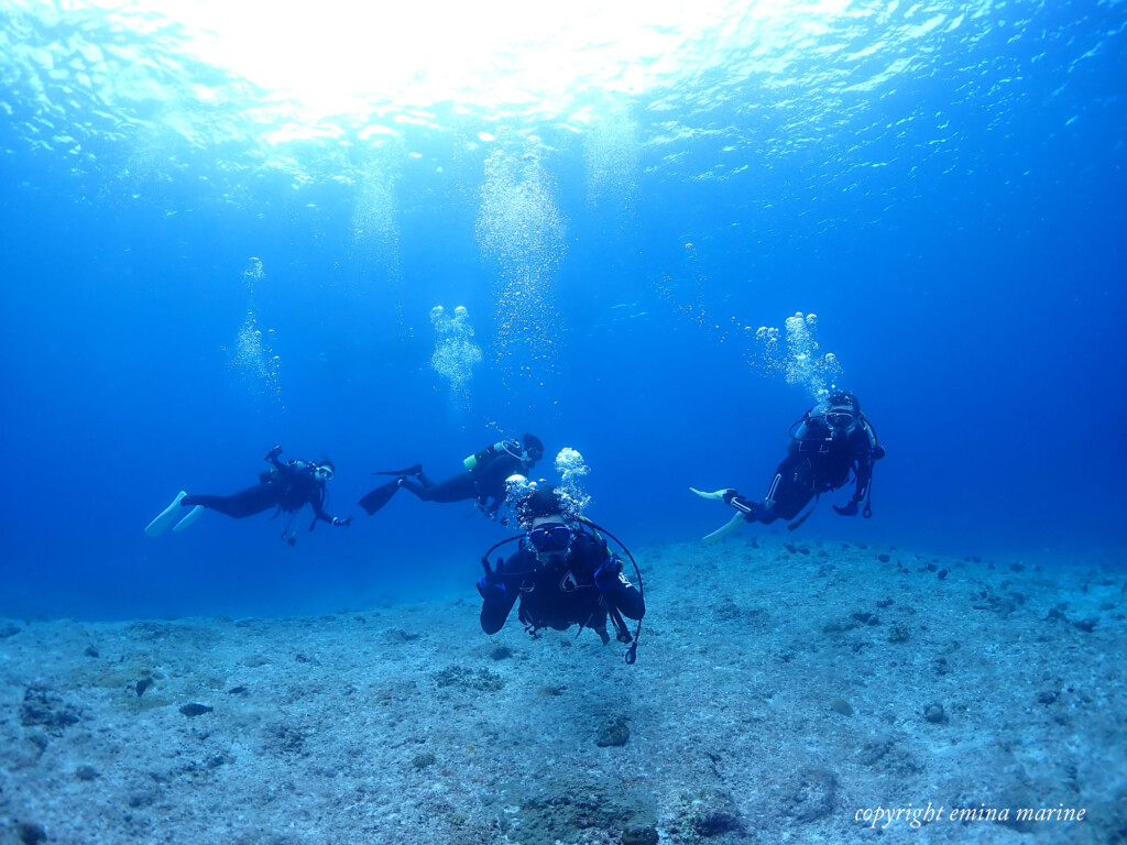 おともdeダイビング