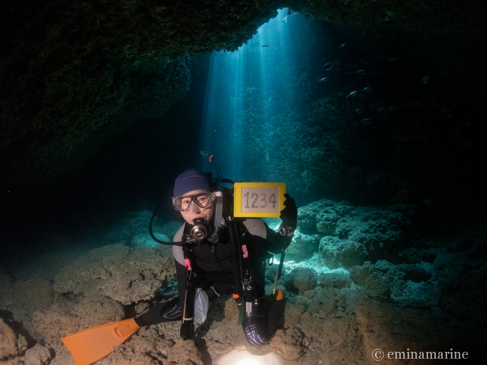 1234本記念ダイブ