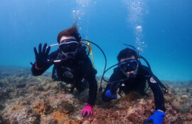 体験ダイビング