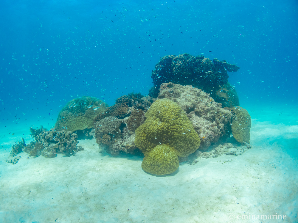 クリスタルパーク