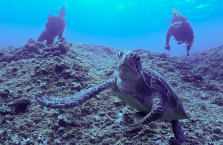 おともdeダイビング