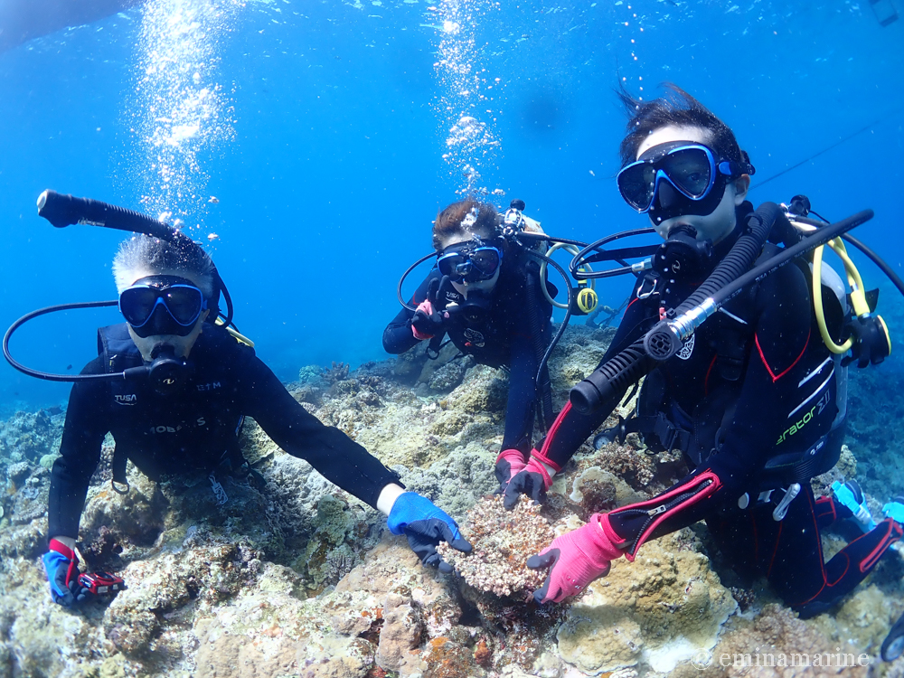 家族で体験ダイビング