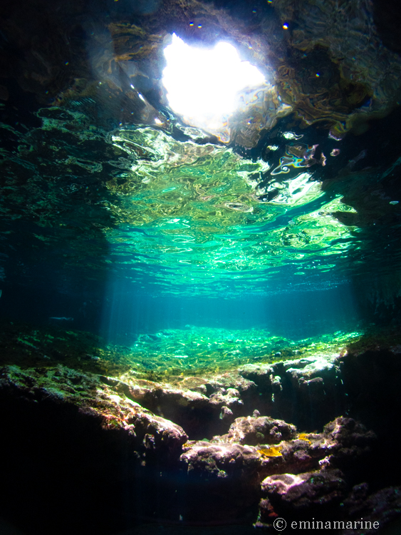 サプライズホール