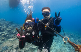 体験ダイビング