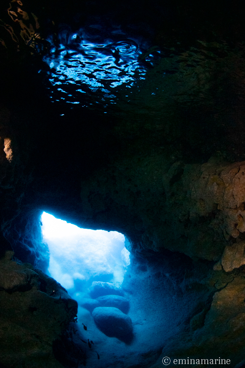 スネークホール