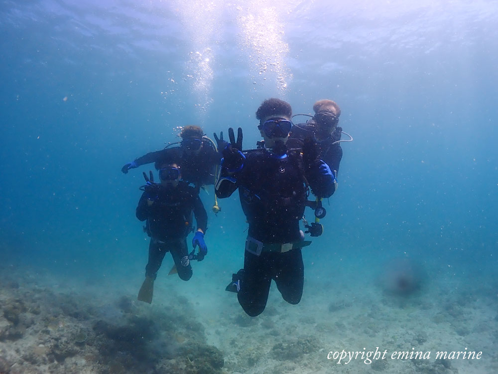 お友達とおともdeダイブ